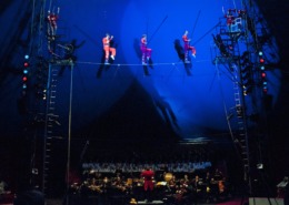 dsc_5370_8272984417_o