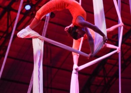 SailorCircusDecember2015-Original-94