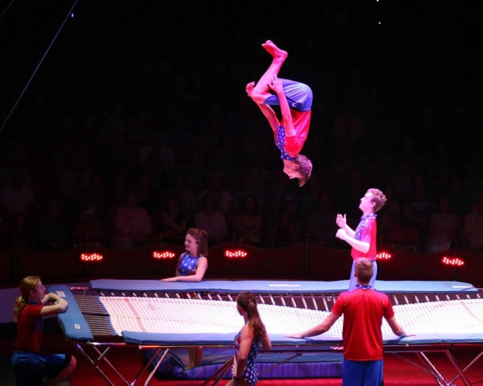 Trampoline Class The Circus Arts Conservatory Sarasota