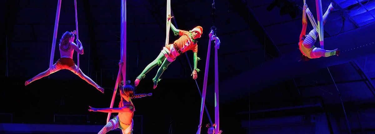 Colorful aerial silk performers showcasing circus staging and acrobatics at a live event.