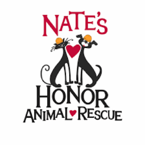 Two black cats with heart symbol, promoting animal rescue and honor in circus staging.