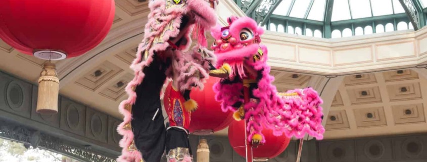 Circus arts - LionDanceME