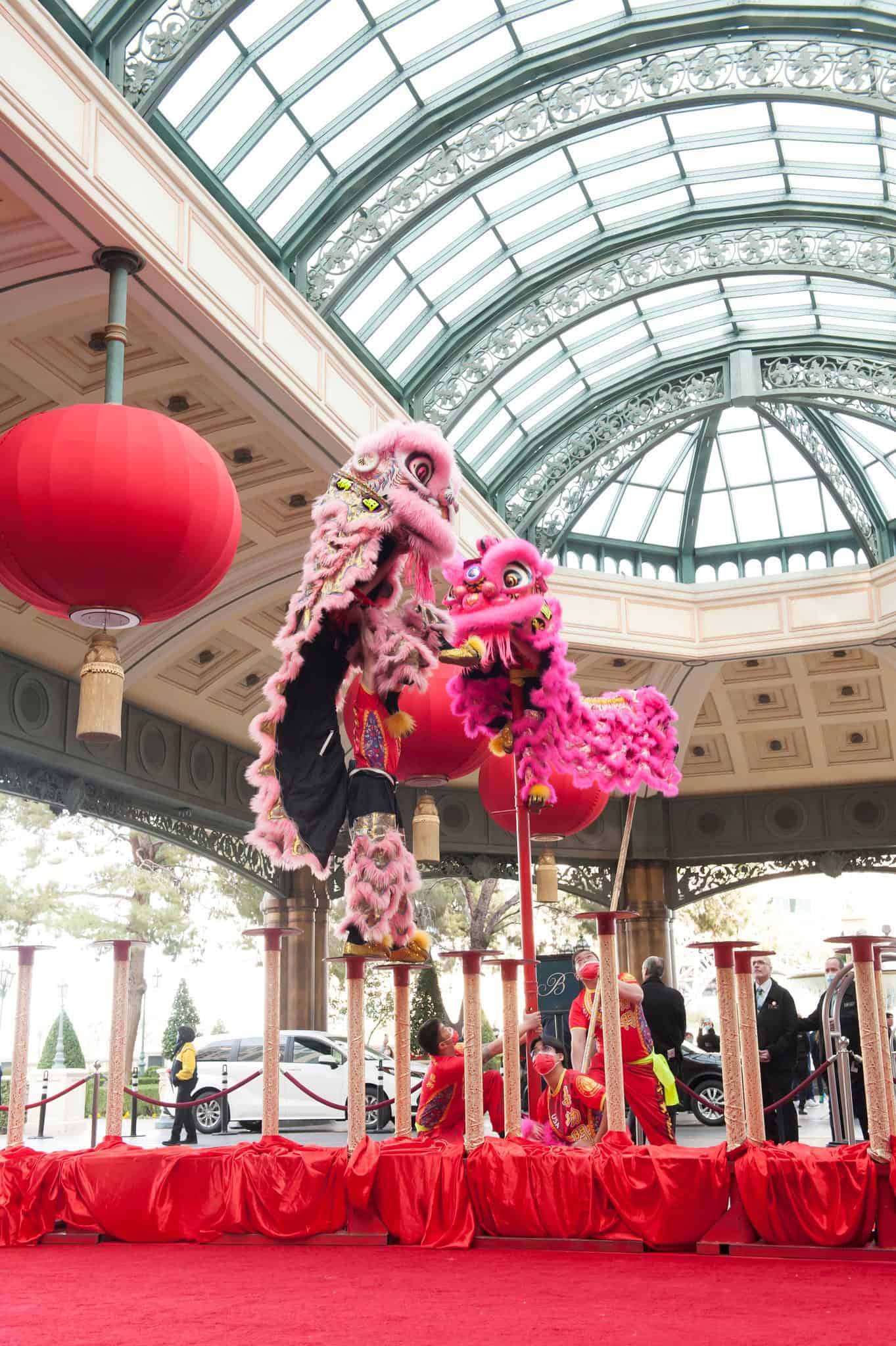 Circus arts - LionDanceME