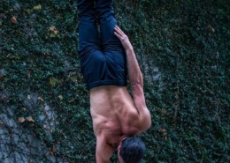 Performer, Andrey Moraru