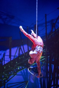 Performer, Cirque des Voix