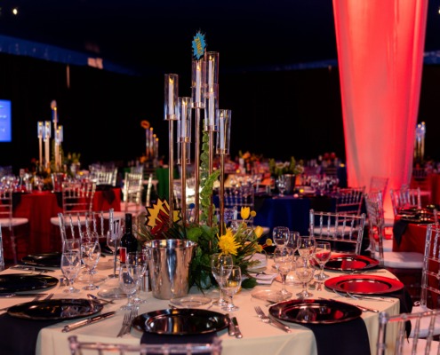 Elegant circus-themed event stage with vivid lighting and stylish decor for memorable performances.